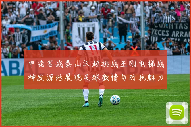 申花客战泰山汉超挑战王刚电梯战神发源地展现足球激情与对抗魅力
